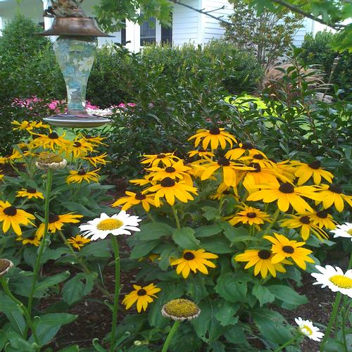 Carolina Creations Landscapes Pavers Yellow Flowers